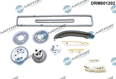 Timing Chain Kit DRM601202