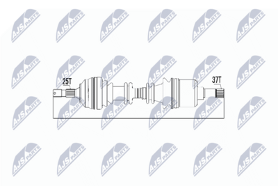 NPW-CT-016
