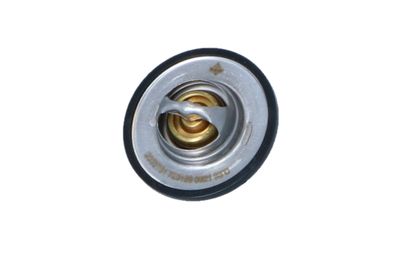 TERMOSTAT LICHID RACIRE NRF 725156 10