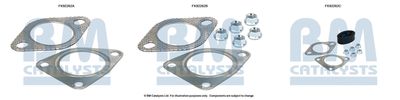 Монтажный комплект, катализатор BM CATALYSTS FK92262 для ROVER 45