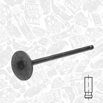 SUPAPA EVACUARE ET ENGINETEAM VE0113 1