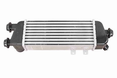 INTERCOOLER COMPRESOR ACKOJA A53600006 1