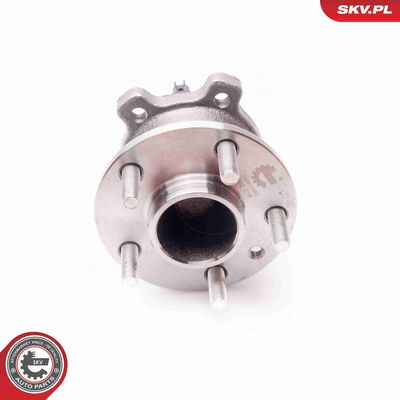 SET RULMENT ROATA ESEN SKV 29SKV050 3