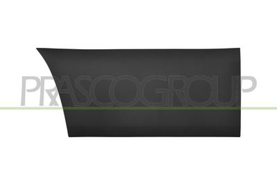 ELEMENTE DECORATIVE/PROTECTIE PORTIERA