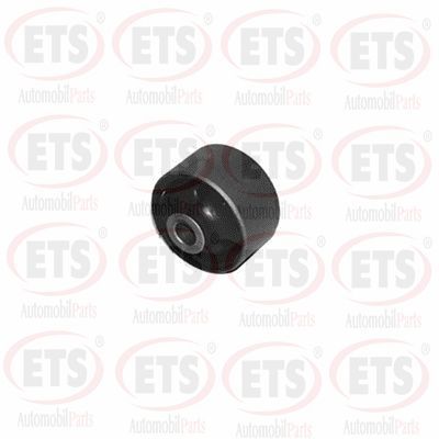 тампон, носач ETS 09.SB.081