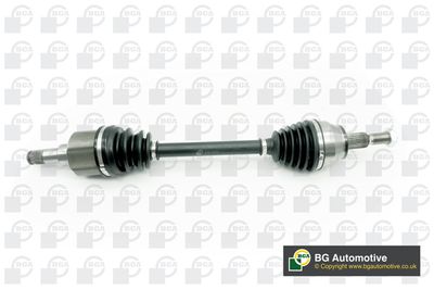 PLANETARA BGA DS2363L