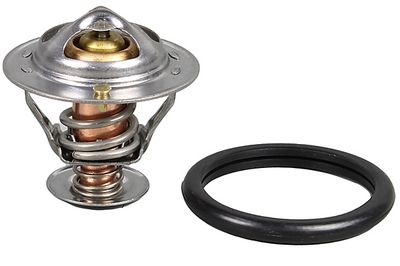 Thermostat, Kühlmittel