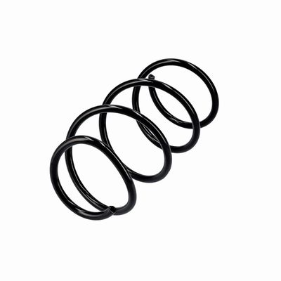 ARC SPIRAL EIBACH R10875 3