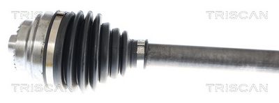 PLANETARA TRISCAN 854011614 1