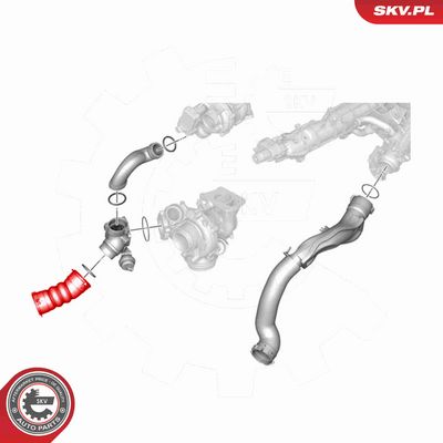 FURTUN EAR SUPRAALIMENTARE ESEN SKV 43SKV219 3