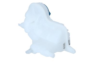 VAS DE EXPANSIUNE RACIRE NRF 454021 29