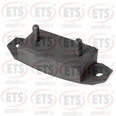 окачване, двигател ETS 31.ST.920