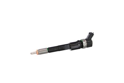 INJECTOR REMANTE 002003001665R 6