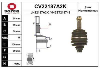 SET ARTICULATIE PLANETARA EAI CV22187A2K