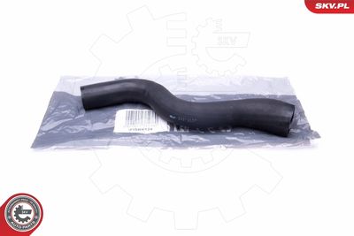 FURTUN EAR SUPRAALIMENTARE