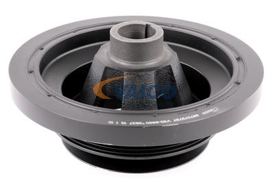 FULIE CUREA ARBORE COTIT VAICO V309660 55