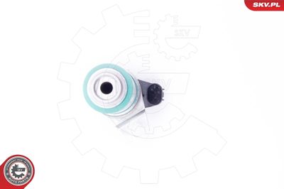 Control Valve, camshaft adjustment 39SKV044