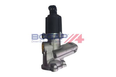 SUPAPA RECIRCULARE GAZE DE ESAPAMENT