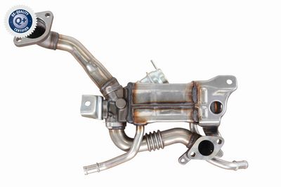 KüHLER ABGASRüCKFüHRUNG