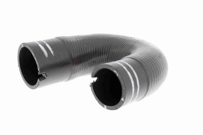 FURTUN EAR SUPRAALIMENTARE VAICO V240804 2