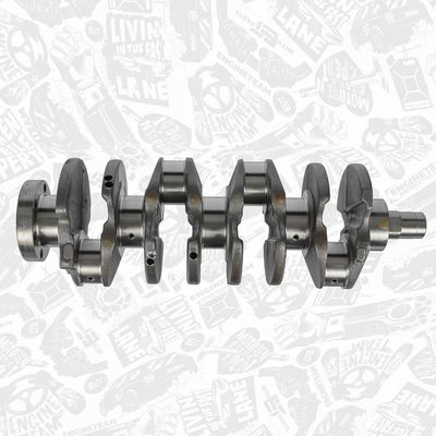 ARBORE COTIT ET ENGINETEAM HK0191VR1 5