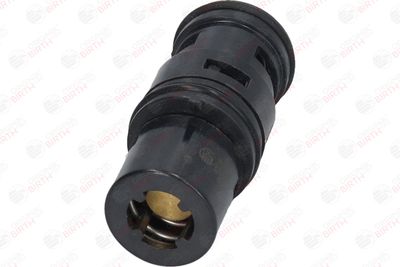 FLANSA LICHID RACIRE BIRTH 80236 11