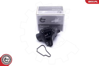 Termostat, środek chłodzący ESEN SKV 20SKV149