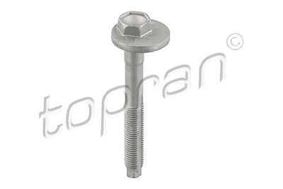 Camber Correction Screw 119 041