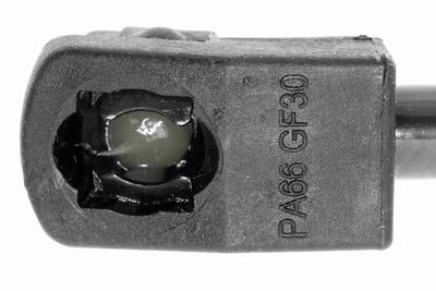 GASFEDER KOFFER-/LADERAUM VAICO V260203 1