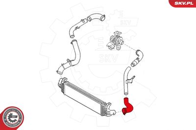 Charge Air Hose 43SKV071