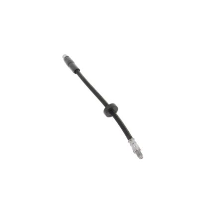 FURTUN FRANA CORTECO 19035313 54