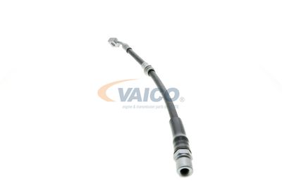 FURTUN FRANA VAICO V404110 26