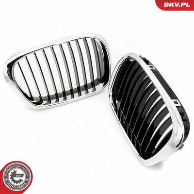 GRILA RADIATOR ESEN SKV 66SKV160 2