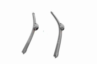 WISCHBLATT VAICO V990101 5