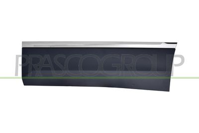 ELEMENTE DECORATIVE/PROTECTIE PORTIERA