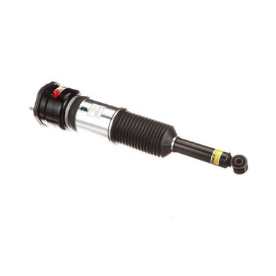 LUFTFEDERBEIN Arnott AS2856 30