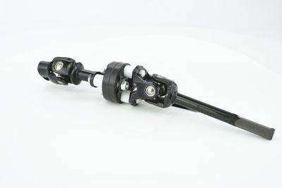 ARBORE DIRECTIE FEBEST ASSZGVSQ 31