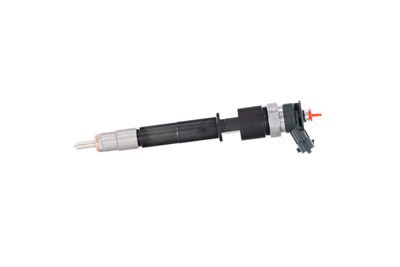 INJECTOR REMANTE 002003001319R 12