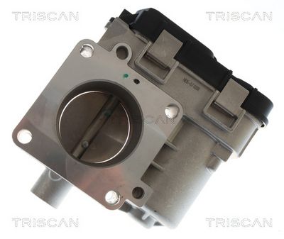 CARCASA CLAPETA TRISCAN 882015004 2