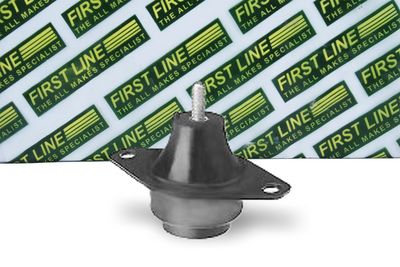 окачване, двигател FIRST LINE FEM3430