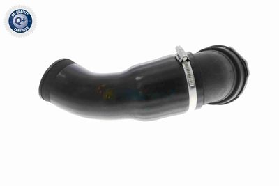 FURTUN EAR SUPRAALIMENTARE VAICO V202969 5