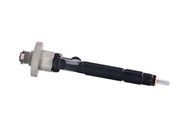 INJECTOR REMANTE 002003000191R 42