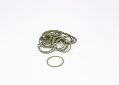 Injector O-ring