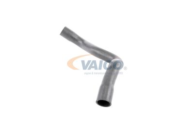 FURTUN RADIATOR VAICO V203246 21
