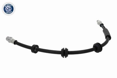 FURTUN FRANA VAICO V304748 1