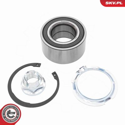 SET RULMENT ROATA ESEN SKV 85SKV003 1