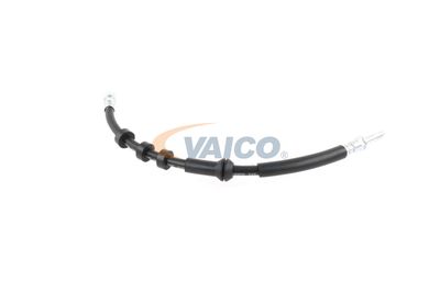 FURTUN FRANA VAICO V104209 28