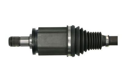 Planetara PASCAL G2B012PC
