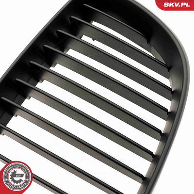 GRILA RADIATOR ESEN SKV 66SKV003 5