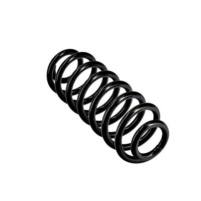 ARC SPIRAL EIBACH R10701 23
